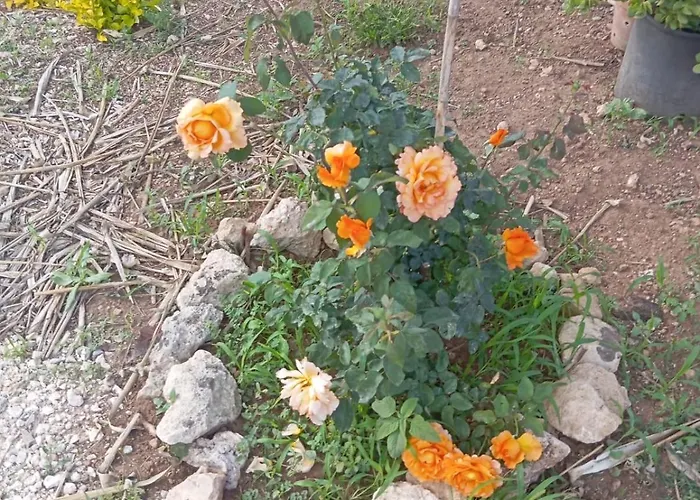 Apartamento Casolare Giardino Aiarella-assunta *