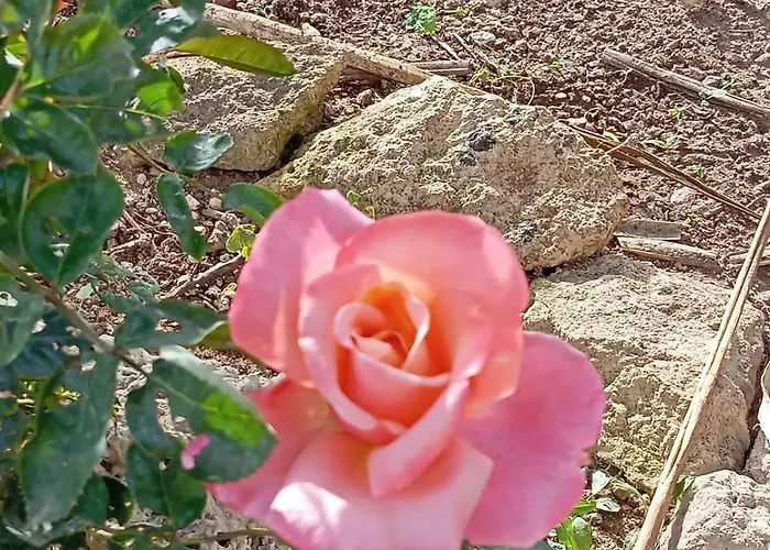 Casolare Giardino Aiarella-assunta Apartamento *