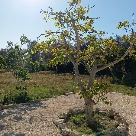 Casolare Giardino Aiarella-assunta Апартаменты Merine