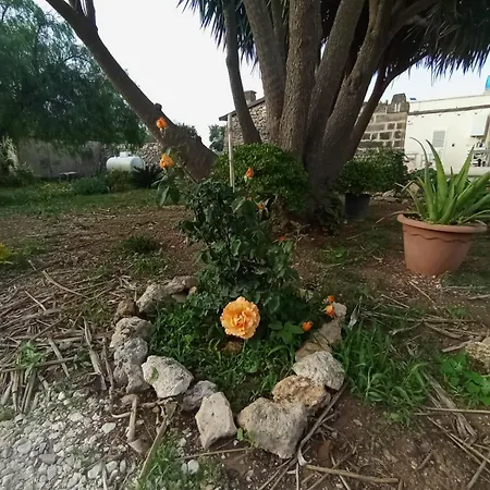 Casolare Giardino Aiarella Apartment *